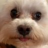 Profilbild von mel