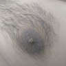 Boy's profile picture