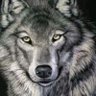 Umuberi's profile picture