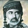 وميض البرق profil fotoğrafı