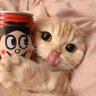 余忆 profil fotoğrafı