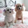Peggy W profil fotoğrafı