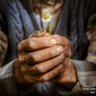 Kadi Youcef profil fotoğrafı
