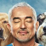 cesarmillan's profile picture