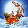 PlantYourOwnGarden's profile picture