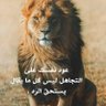 Фото профиля سعود عبدالله