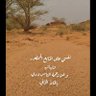 البر والشاص 的头像