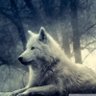Nana_K__20 profil fotoğrafı