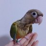 じゅげむ profil fotoğrafı