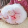 太田　圭子's profile picture