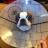 KRFanatic's profile picture
