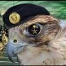ألجووكر%'s profile picture