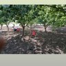 Halab profil fotoğrafı