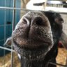 Profilbild von Jarvis