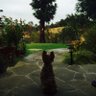 NAMASTE's profile picture