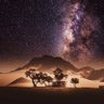 Freeman profil fotoğrafı