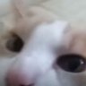 vvyclopss's profile picture