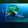 عادل الحربي's profile picture