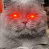 Profilbild von Frozia