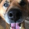 Profilbild von シンジ転生