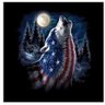 Tammy Reichel 🍊🇺🇸🇺🇸's profile picture
