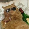 Profilbild von .