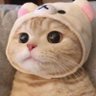 shield's profile picture
