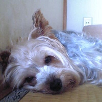 teradann's profile picture
