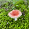 姫 profil fotoğrafı