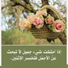 ولَّآدة's profile picture