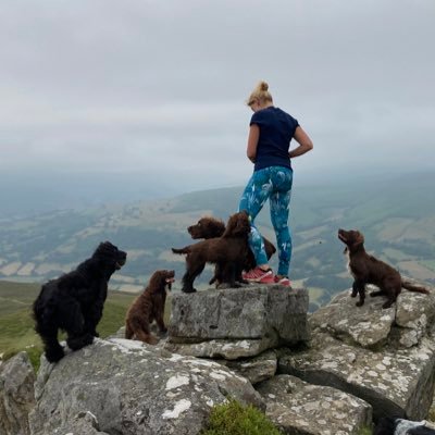 KellyTheVet's profile picture