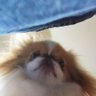 jusi's profile picture