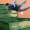 Toss Liberals in the Dumpster🤡 profil fotoğrafı