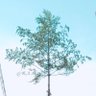 ろぐ's profile picture