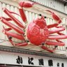 Profilbild von ぶっちのパパ【🇯🇵いつも心に日の丸を🇯🇵】