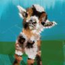 j4ntnyfo55's profile picture