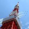 tkm0709 的头像