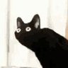 Memechanic's profile picture