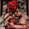 جرح الورد profil fotoğrafı