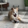 Bless profil fotoğrafı