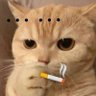 Line 的头像
