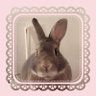 ゆあ🐰🥕 的头像