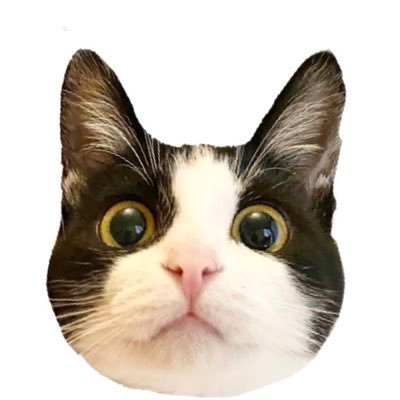 ドン・ぶっちゃ's profile picture