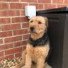 Arch-E's profile picture