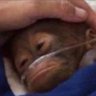 Profilbild von stink