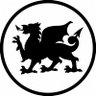 llantwitad's profile picture