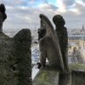 Фото профиля Goodtrouble