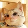 はいねちん✤ 的头像