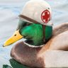 duck medic profil fotoğrafı