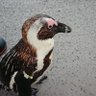 ユーカク profil fotoğrafı